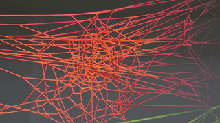 These colorful sculptures are actually painted spider webs